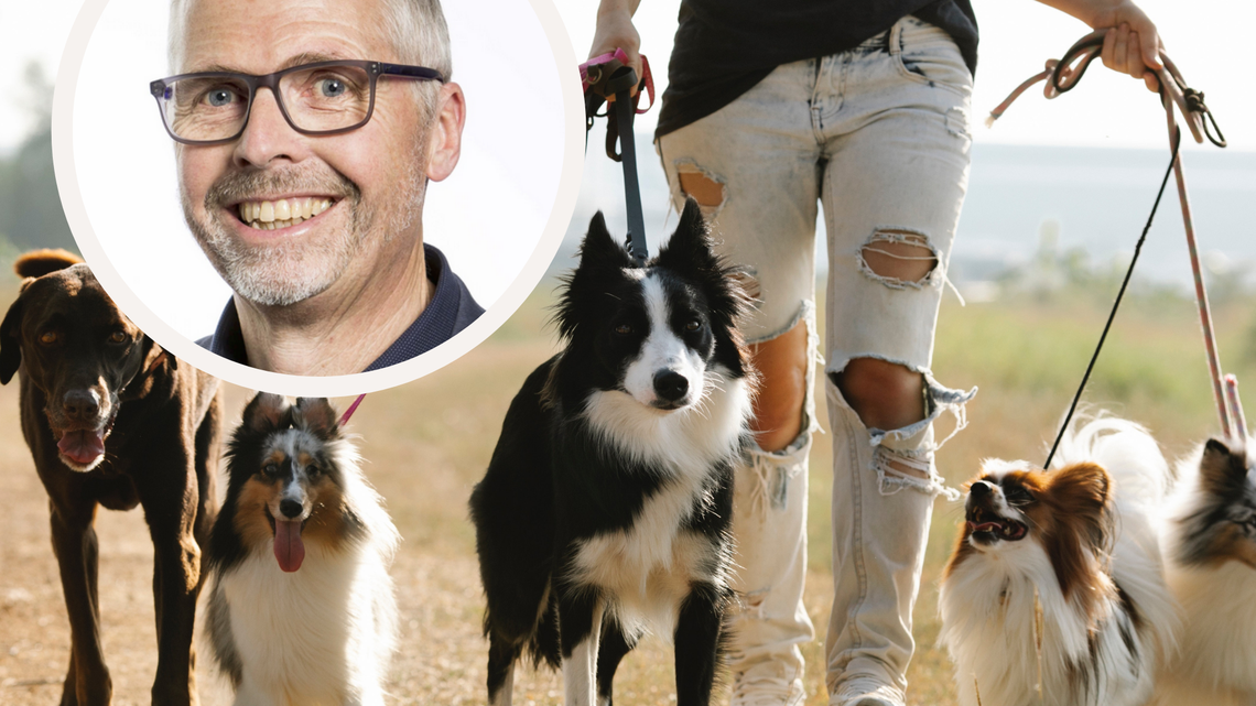 SP-Kantonsrat fordert härtere Regeln für Luzerner Hundehalter