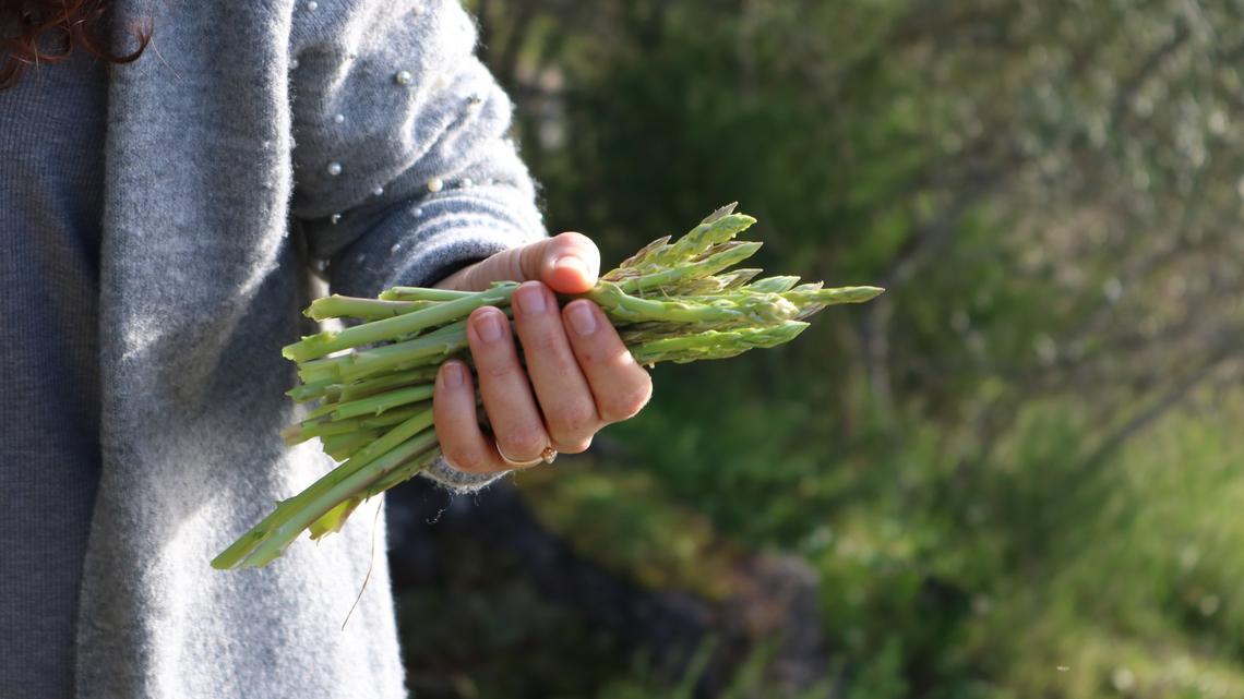 Luzerner Landwirte suchen dringend Erntehelfer – wahrscheinlich aber nicht dich