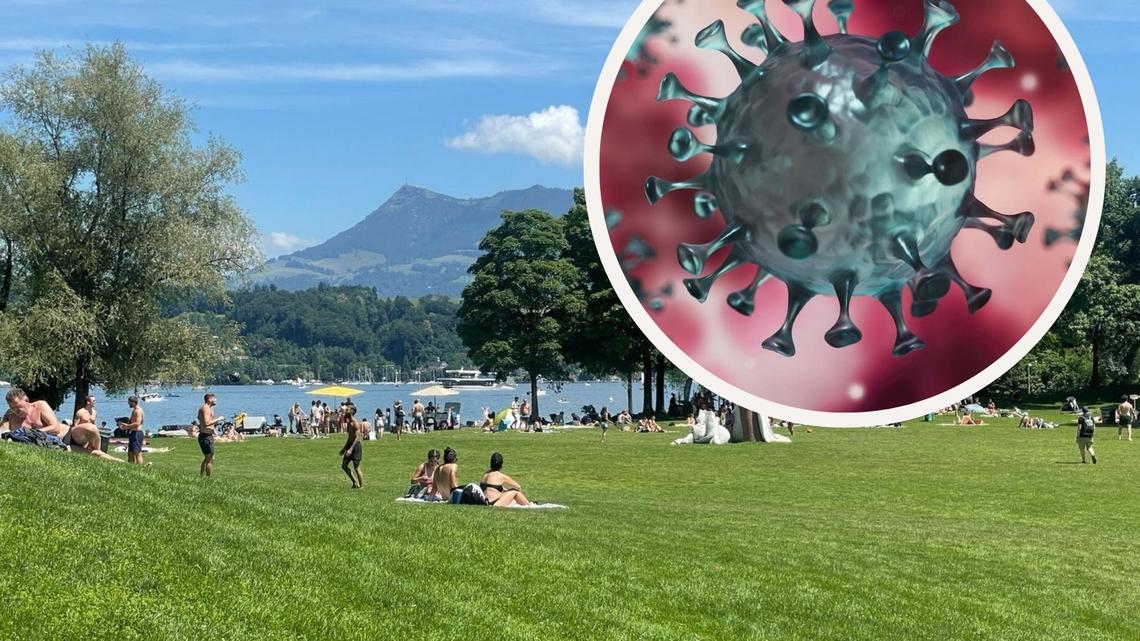 Das Bild eines Corona-Virus im vor einem Bild der Ufschötti in Luzern an einem Sommertag