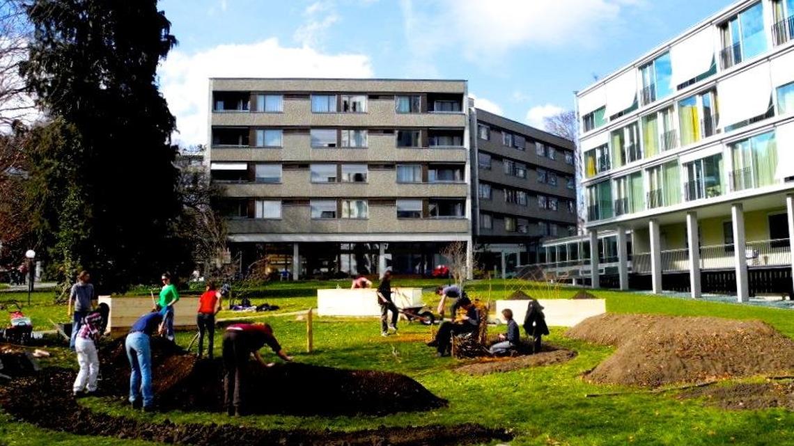 Urban Gardening in Luzern