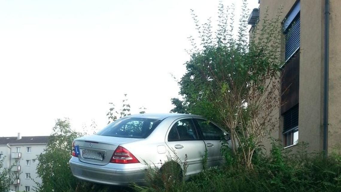 Auto im Gebüsch parkiert