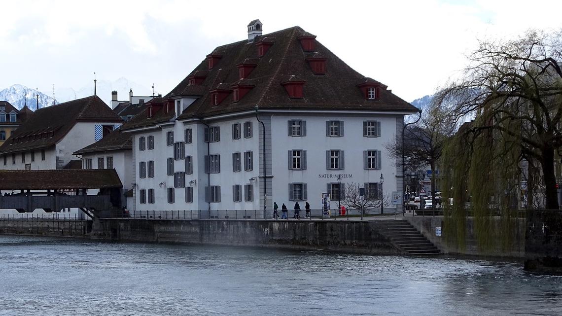 Wegzug aus der Pfistergasse: Luzerner Museen könnten Attraktivität einbüssen