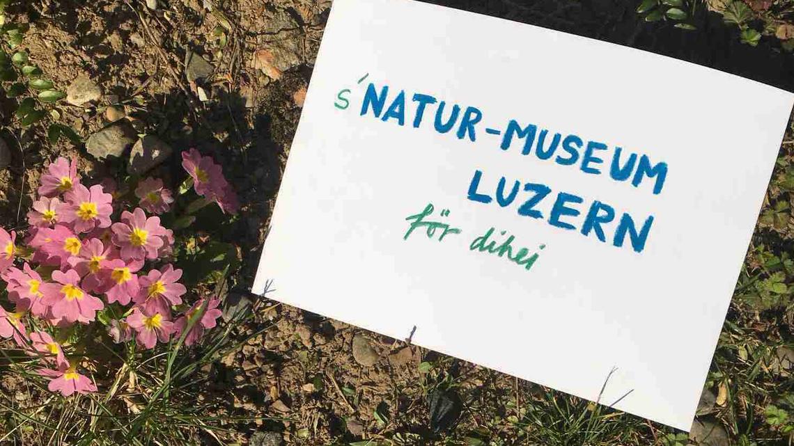 Luzerner Museen laden die Besucher nun zu virtueller Entdeckungsreise ein