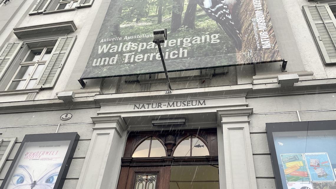 Von links bis rechts: Stadtparlament Luzern verteidigt heutigen Standort der Museen