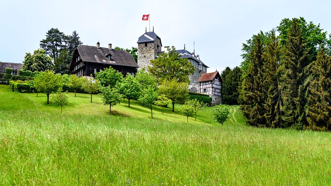 Wo vorher die Burg Buonas stand, wurde im 17. Jahrhundert das Schloss erbaut.