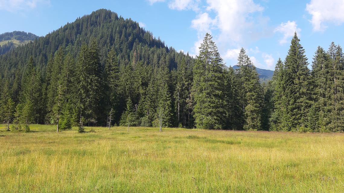 Hochmoor- und Flachmoorgebiet auf dem Glaubenberg