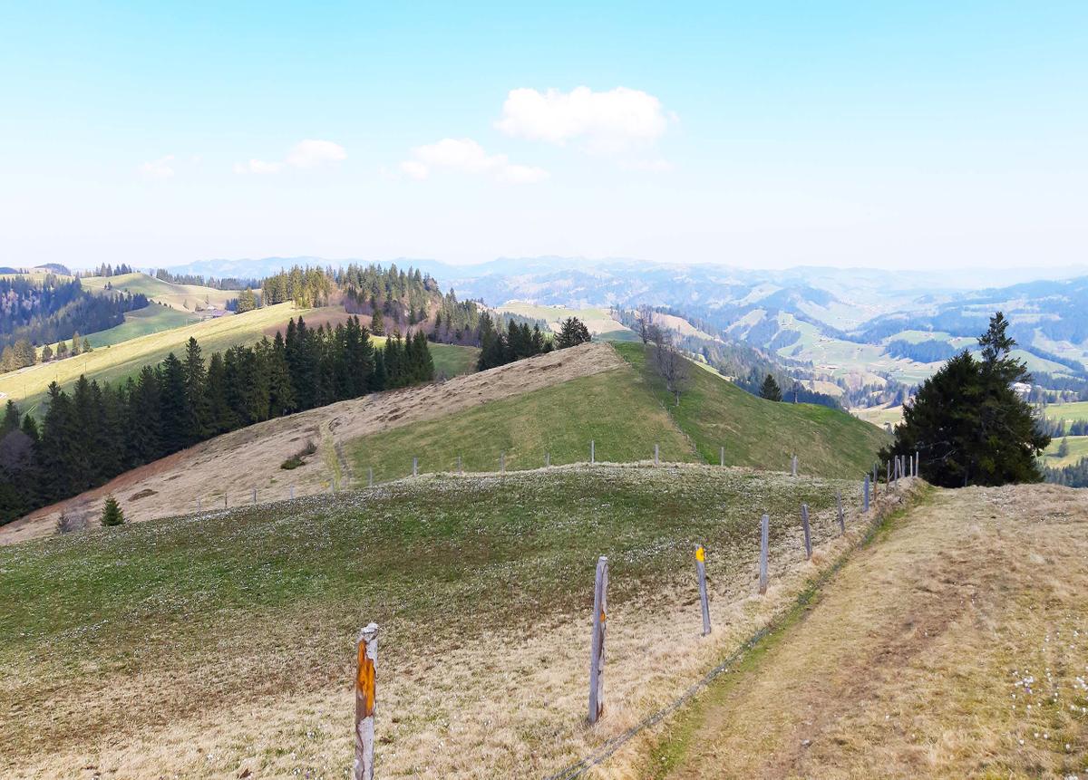 Die Wanderung führt über liebliche Emmentaler Hügel.