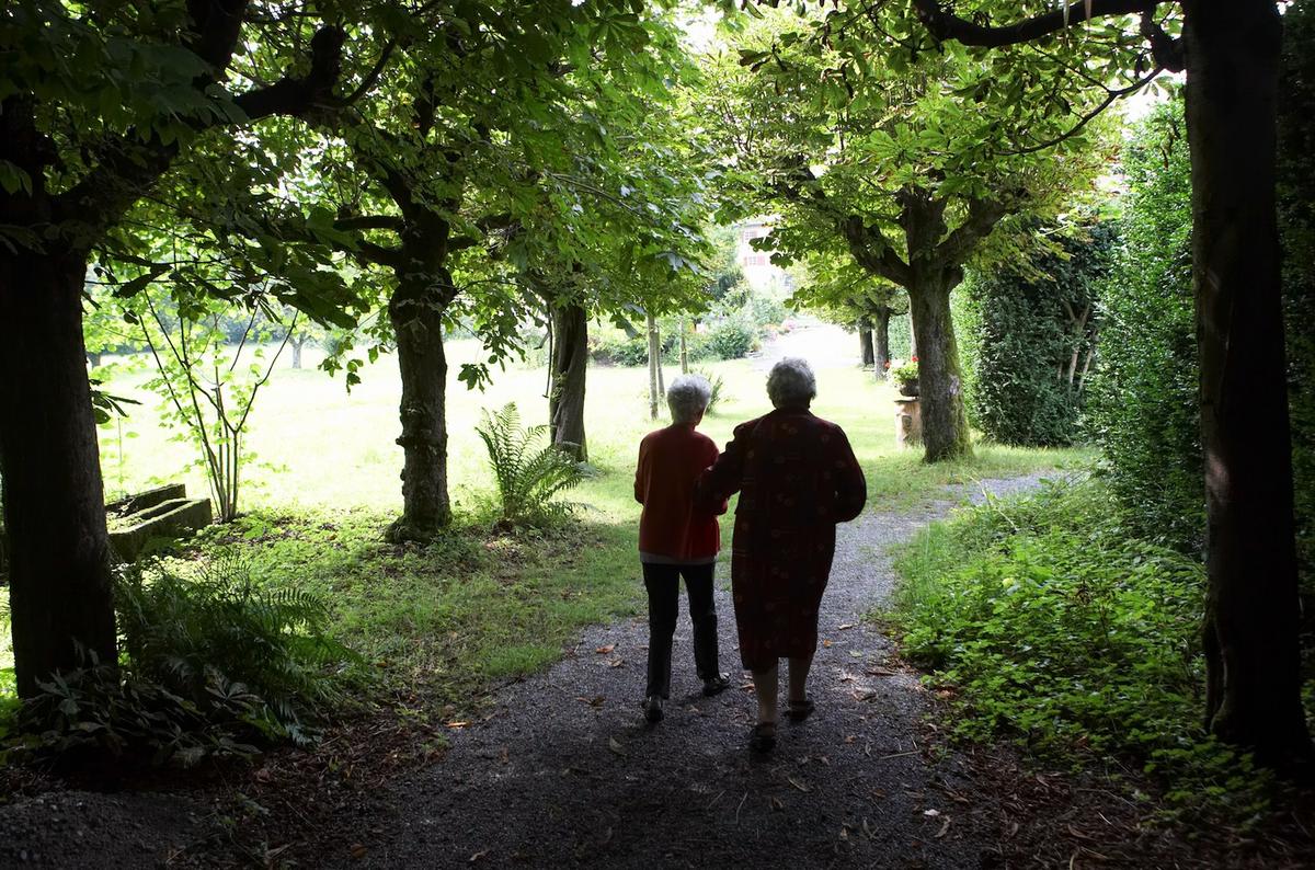 Zwei ältere Menschen von hinten auf eine Spazierweg druch einen Park. Am Rand des Weges sind Bäume.