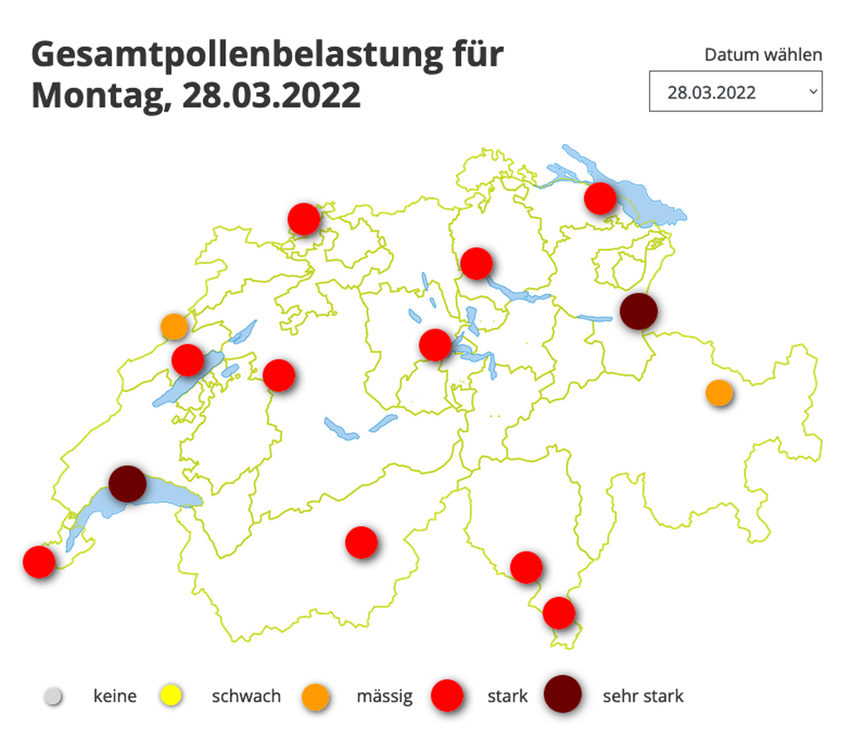 In Luzern ist die Pollenbelastung derzeit auf der Stufe «stark».