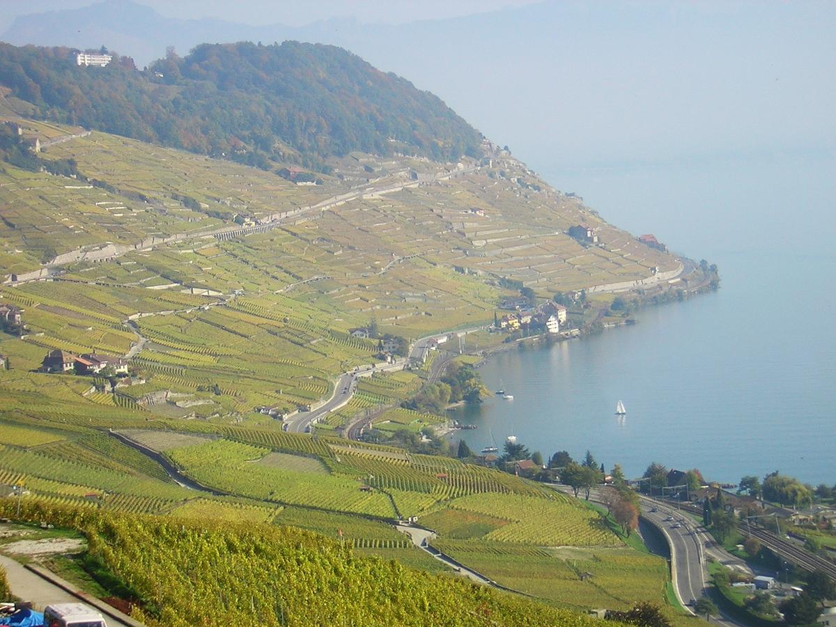 Dézaley, die Weinbauregion im Lavaux am Genfersee, ist bekannt für Weine aus Chasselas.