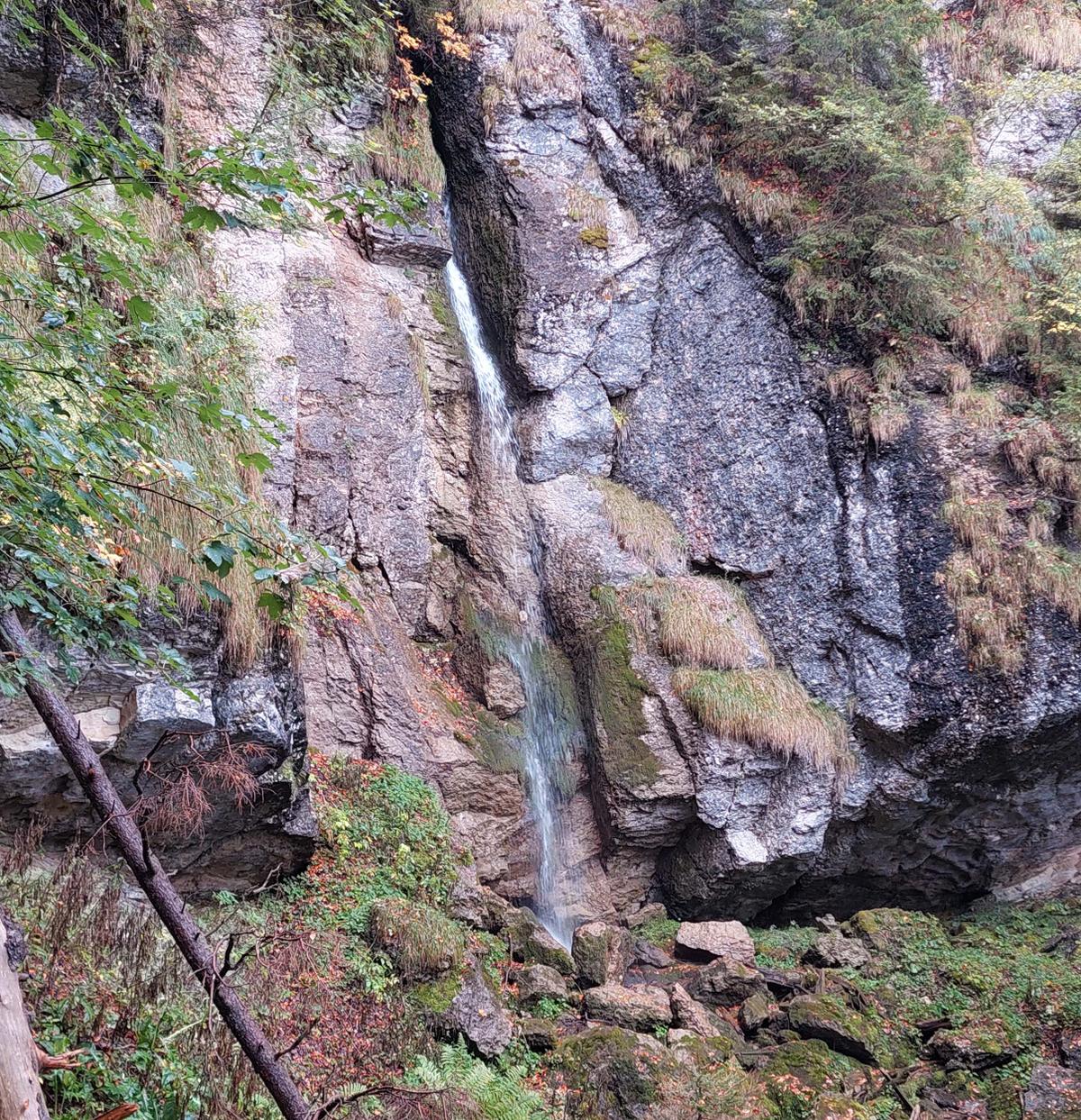 Den freien Blick auf den Alplibach-Wasserfall muss man sich erarbeiten.