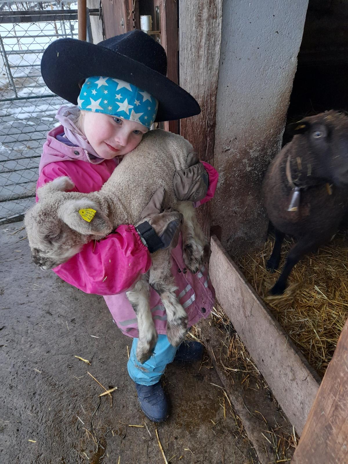 Lämmli: Die Geburt eines Lammes ist für die ganze Familie Stocker jeweils eine grosse Freude! Die Lämmer und Schafe werden täglich ein bis zwei Mal besucht.