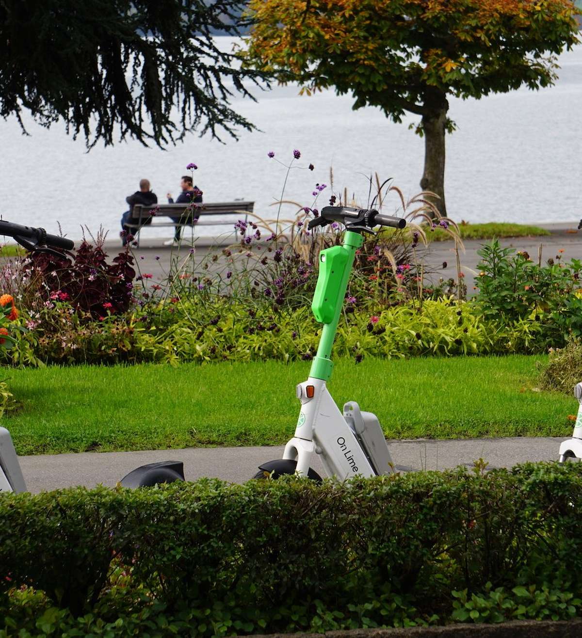 Blaufahrt mit E-Scooter in Zug kostet Mann viel Geld