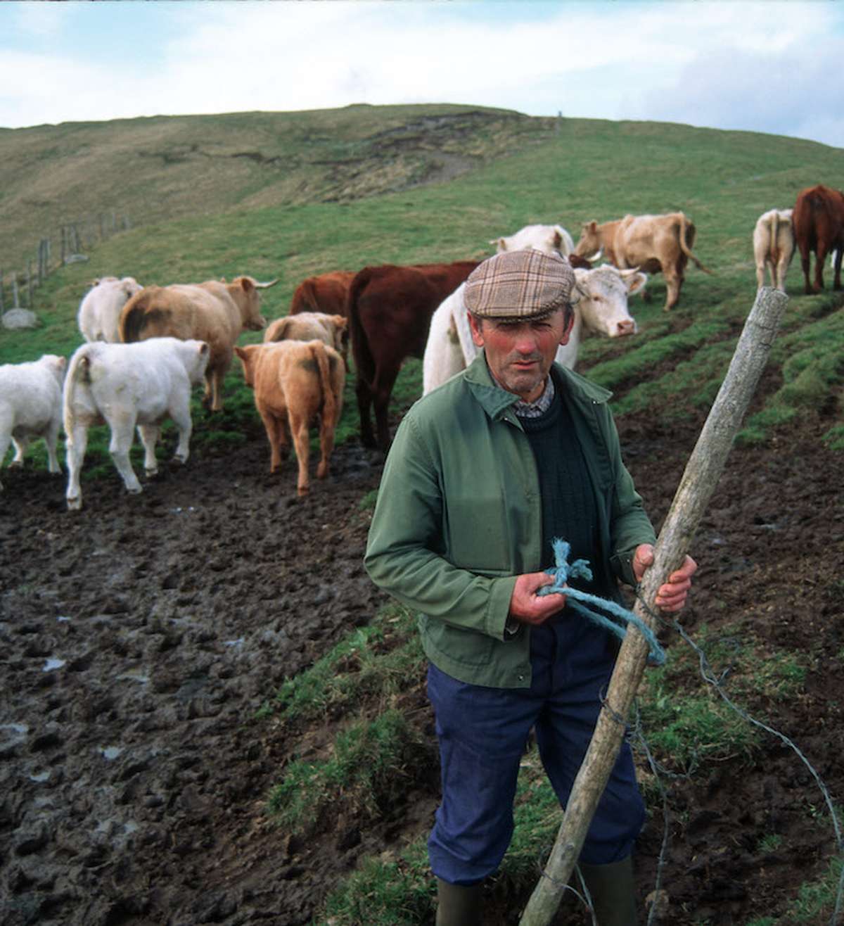 Sorgentelefon für Luzerner Bauern klingelt immer öfter