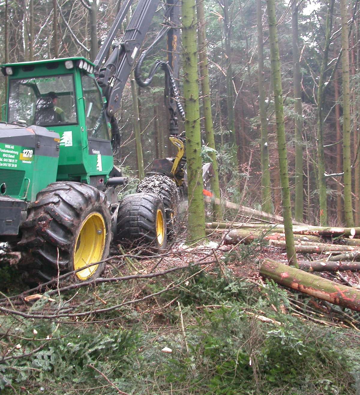 So will Kanton Luzern Holz nachhaltig nutzen