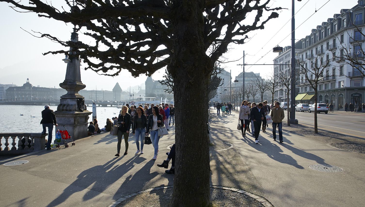 Schweizerhofquai: Sterben hier bald hundertjährige Bäume?