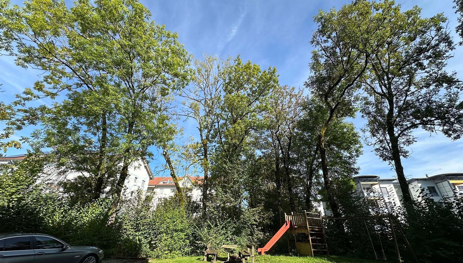 Gefahr für Quartier: Kriens fällt mehrere Bäume