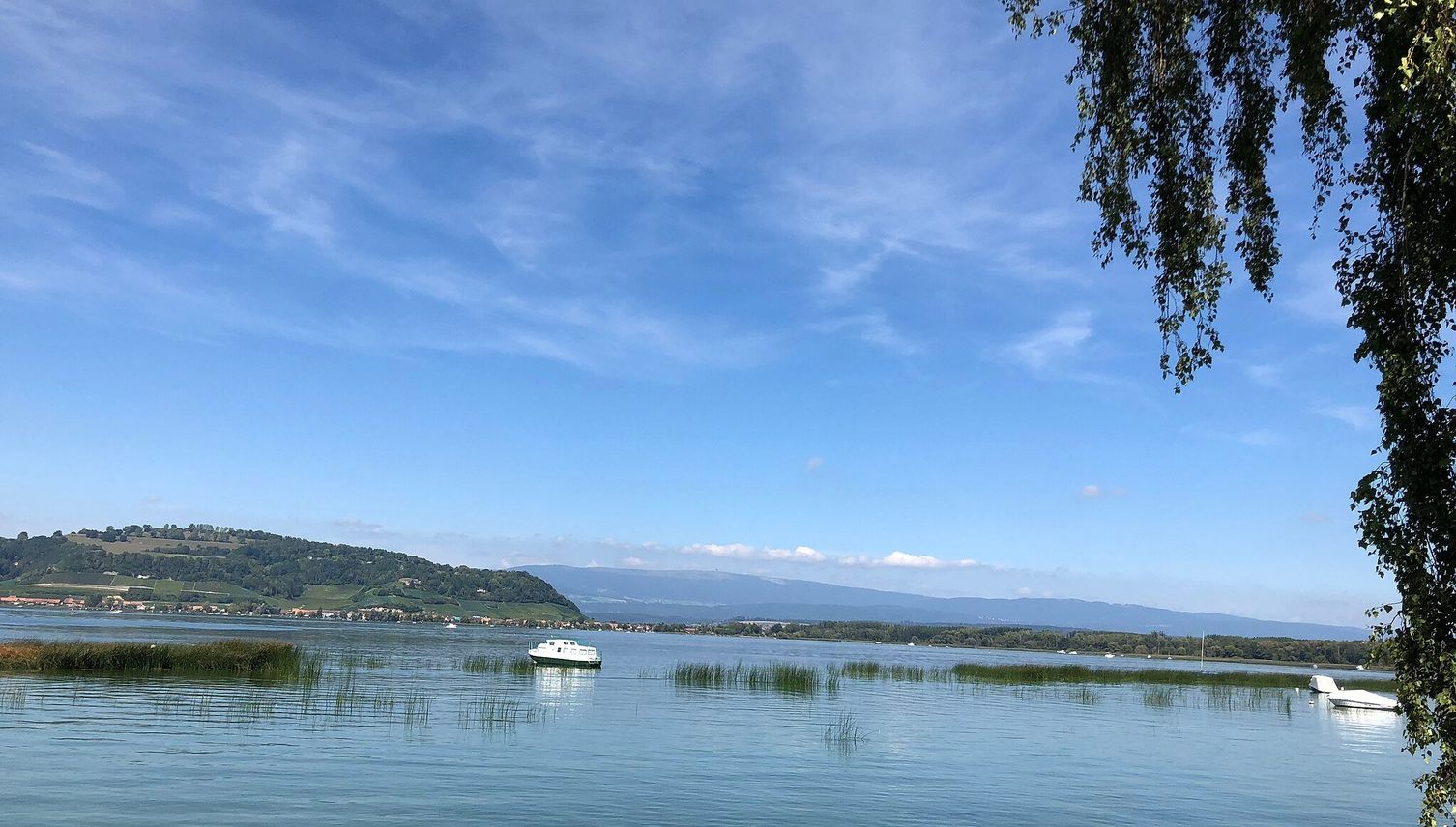 Luzernerin stirbt nach Schwumm im Murtensee