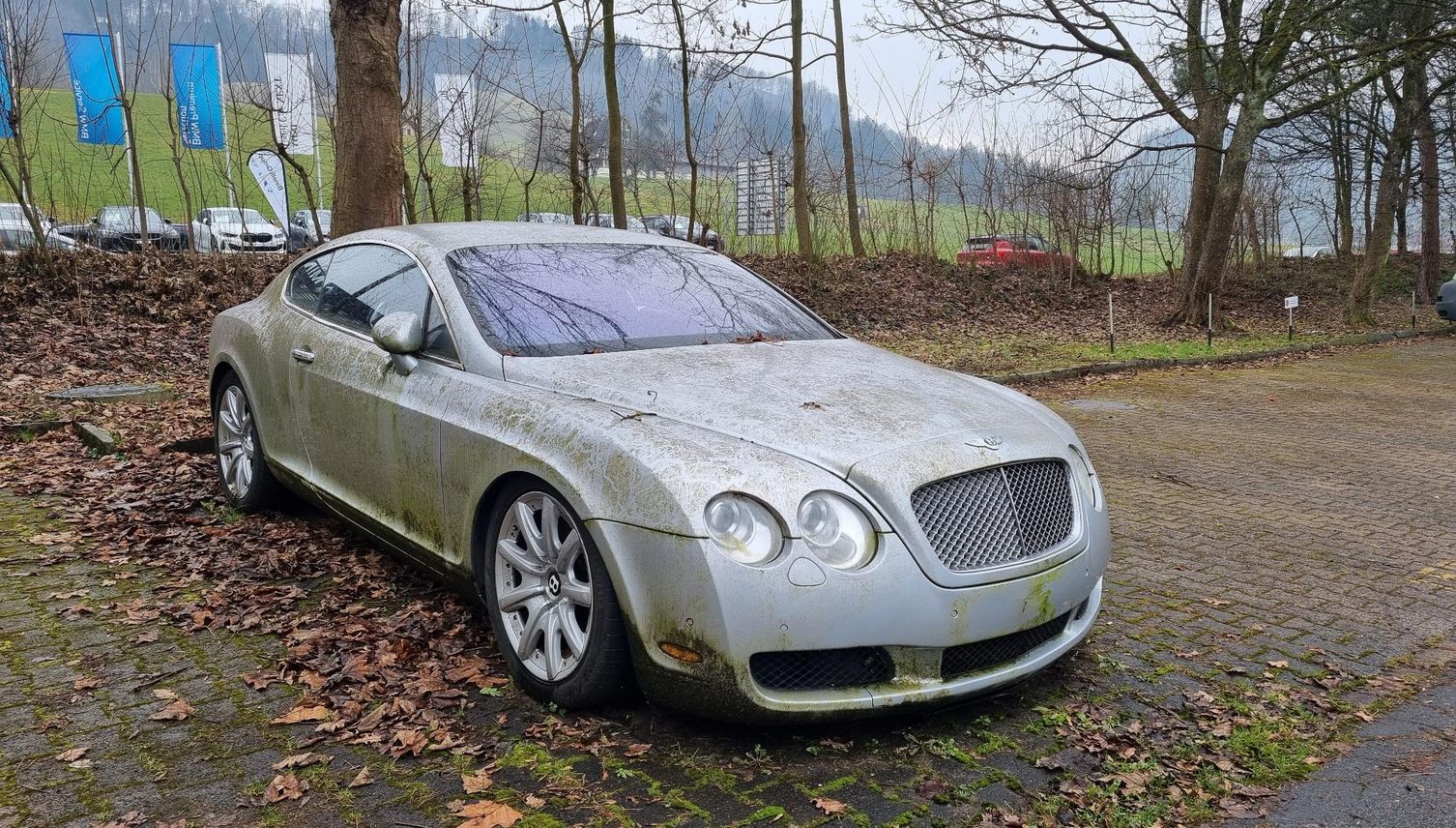 Moos statt Glanz: Verwahrloster Bentley gibt Rätsel auf