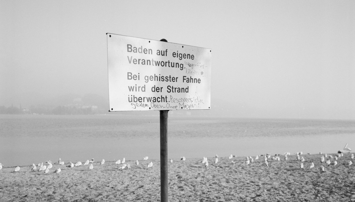 FKK in Luzern: Die versteckten Blüttler in der Ufschötti