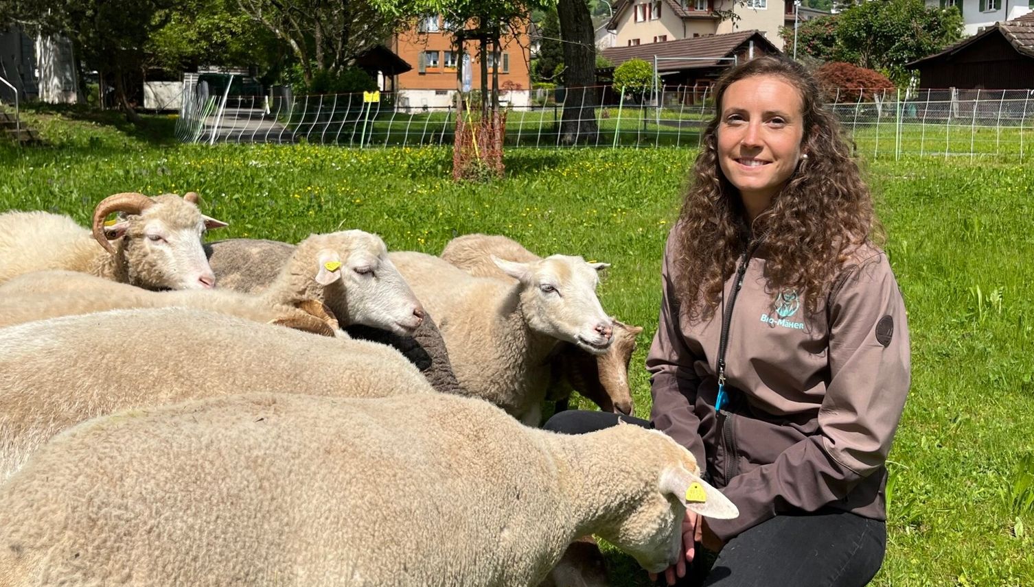 Darum hält sie mitten in der Stadt eine Schafherde