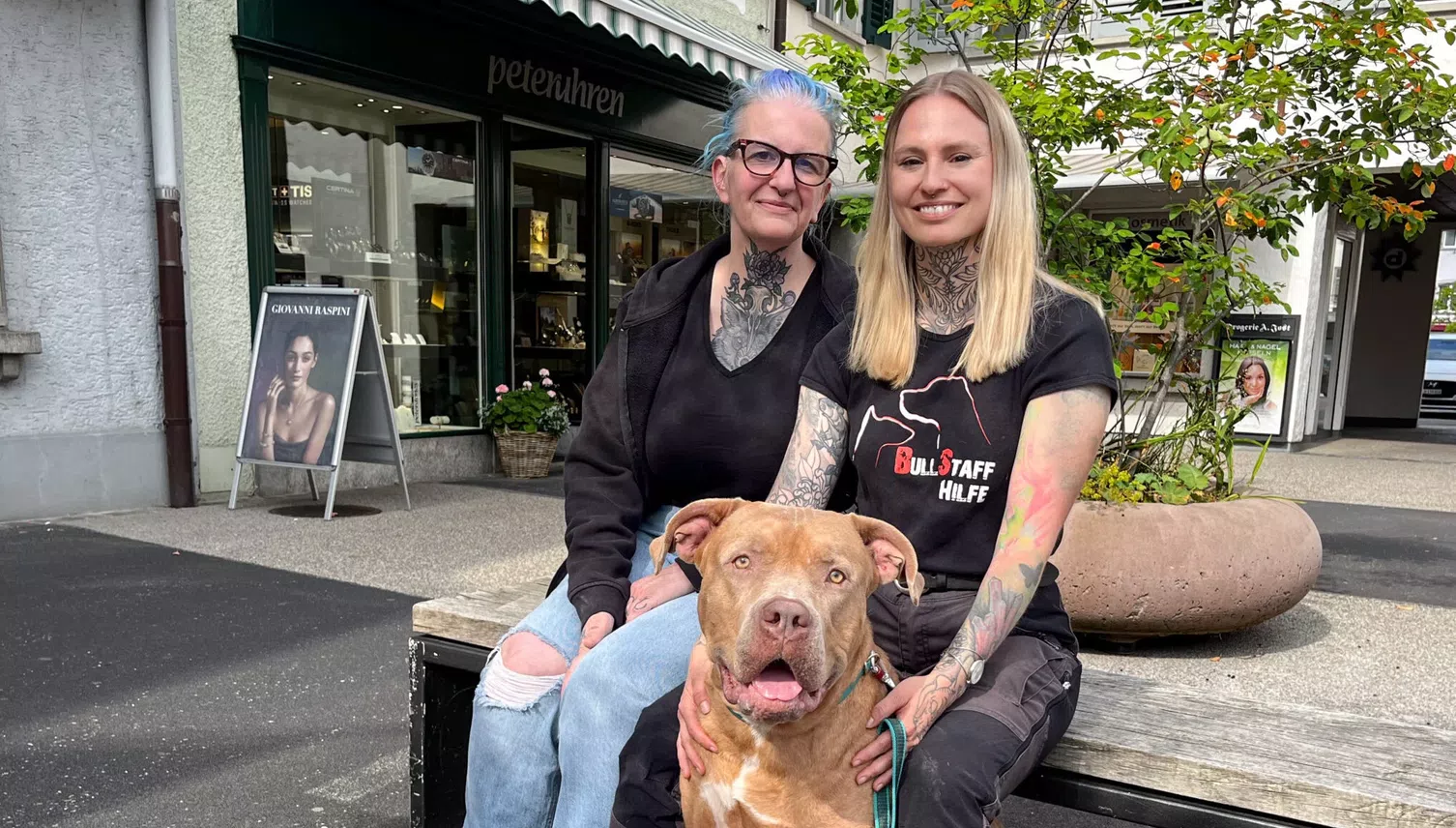 Sie kümmern sich in Luzern um Kampfhunde