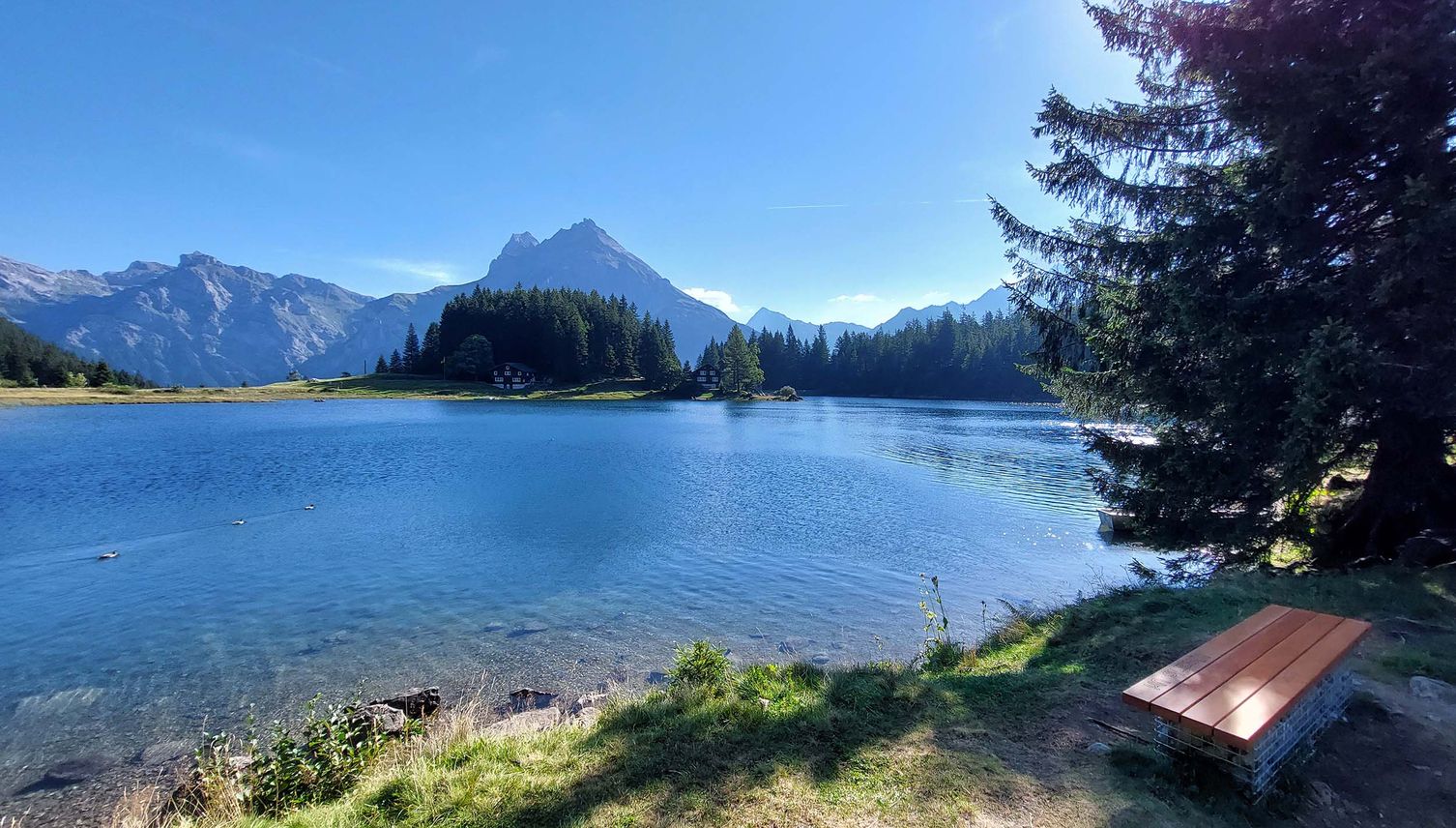 Hoch hinaus aufs Sunniggrätli – aber nicht alleine