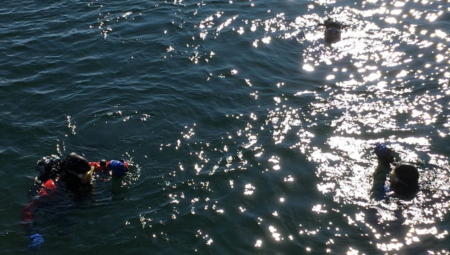 Einsatzkräfte suchen vermisste Person im Zugersee