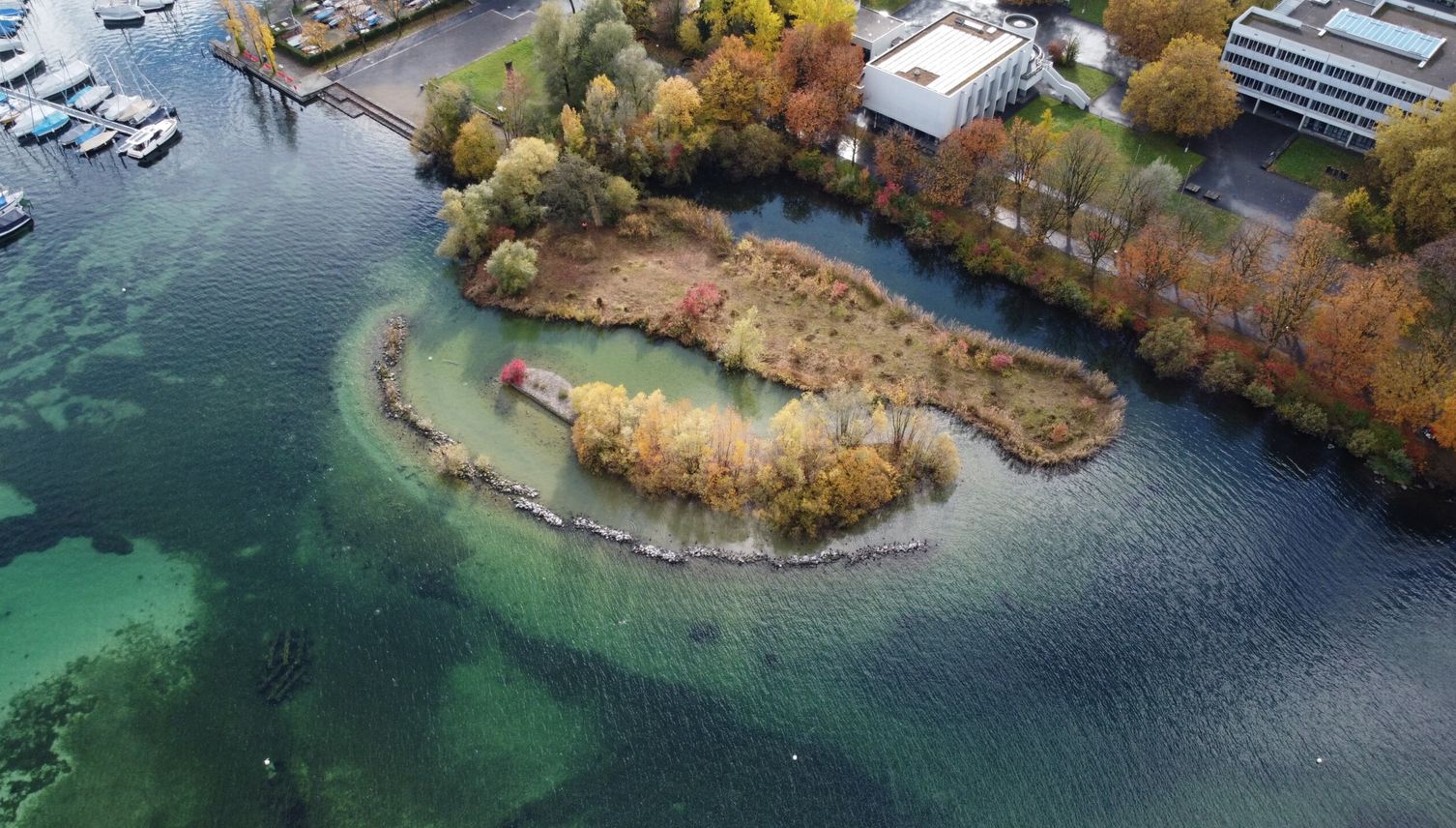Stadt Luzern investiert in Kübel und Insel an Ufern
