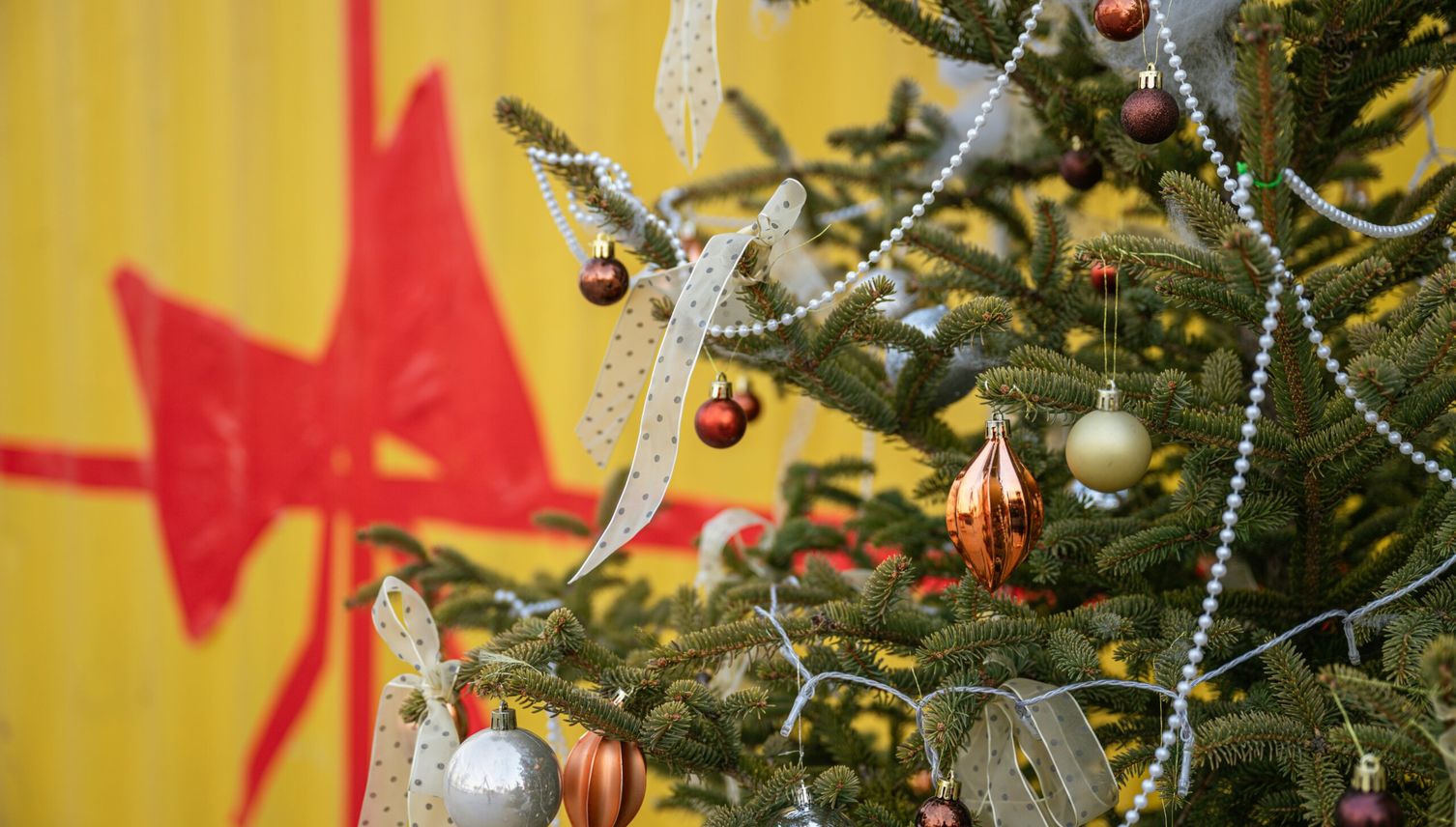 So feiern die höchsten Luzerner und Zuger Weihnachten