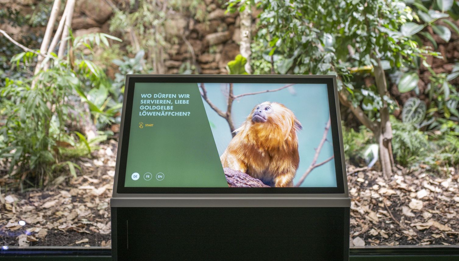 Gratis in den Zoo? Für Zuger und Luzerner passé