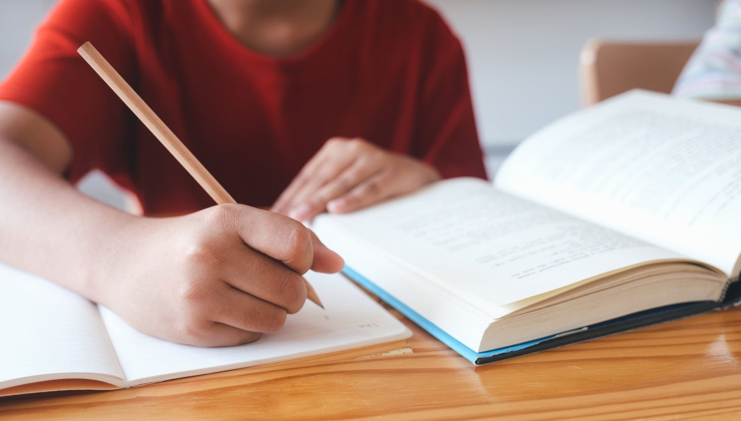 Versuch mit Sonderschulklassen in Luzern ist gescheitert