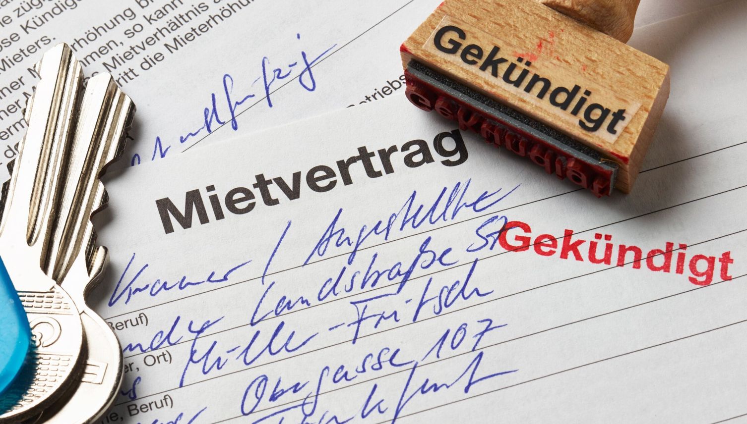 «Absurde Vorwürfe» – Mieter wehrt sich und erhält Kündigung