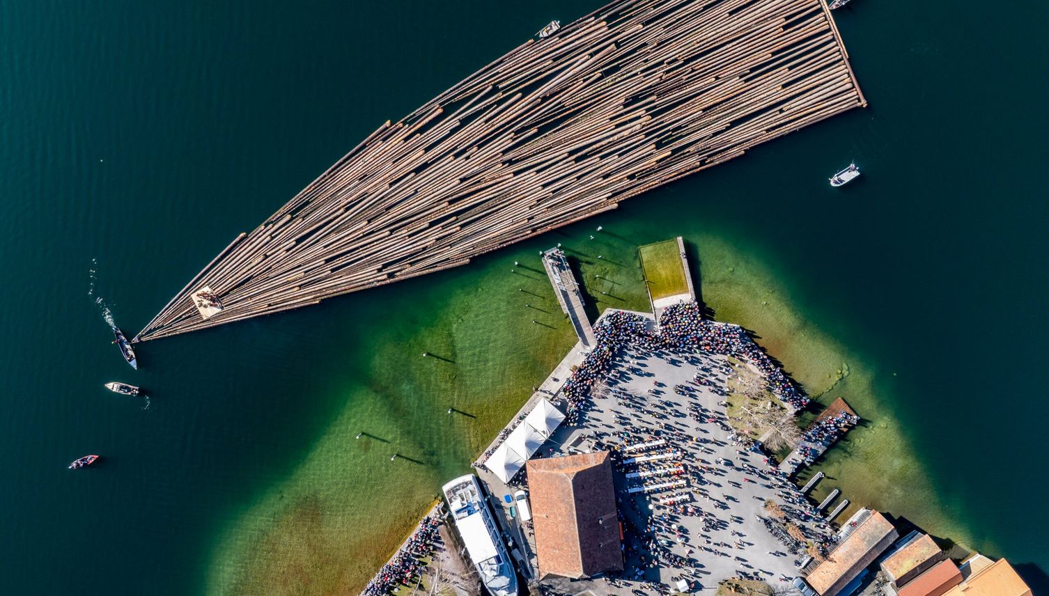 Dutzende Baumstämme schwimmen auf dem Ägerisee