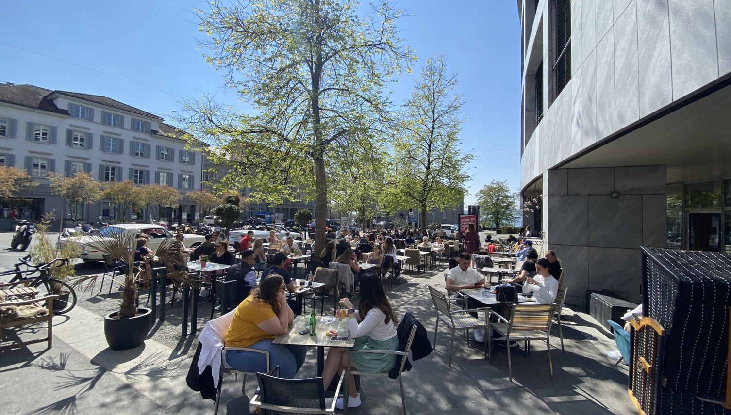 Darum fällt die Stadt Zug diese 37 Bäume
