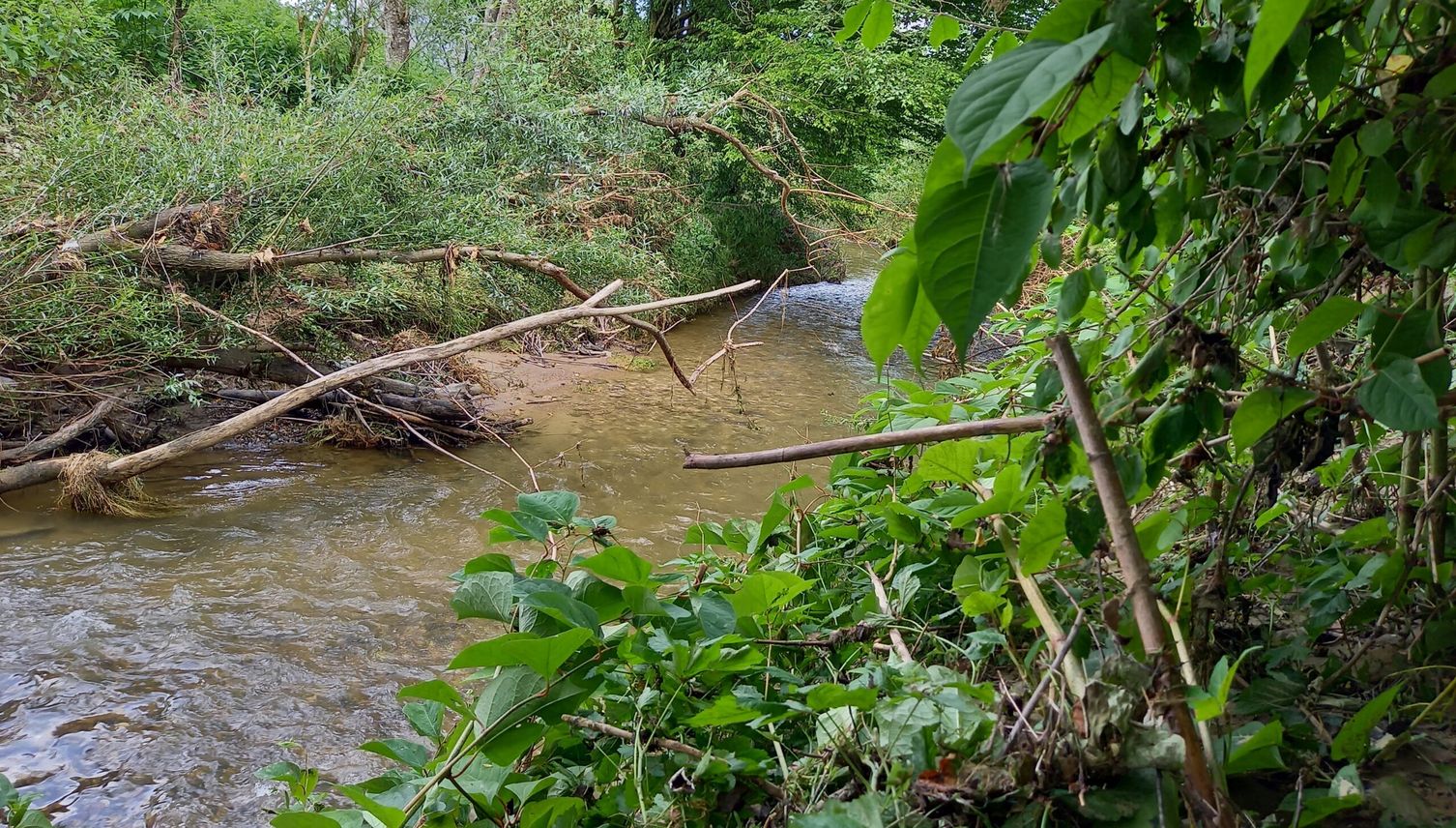 Regierungsrat verbessert Hochwasserschutz am Rotbach