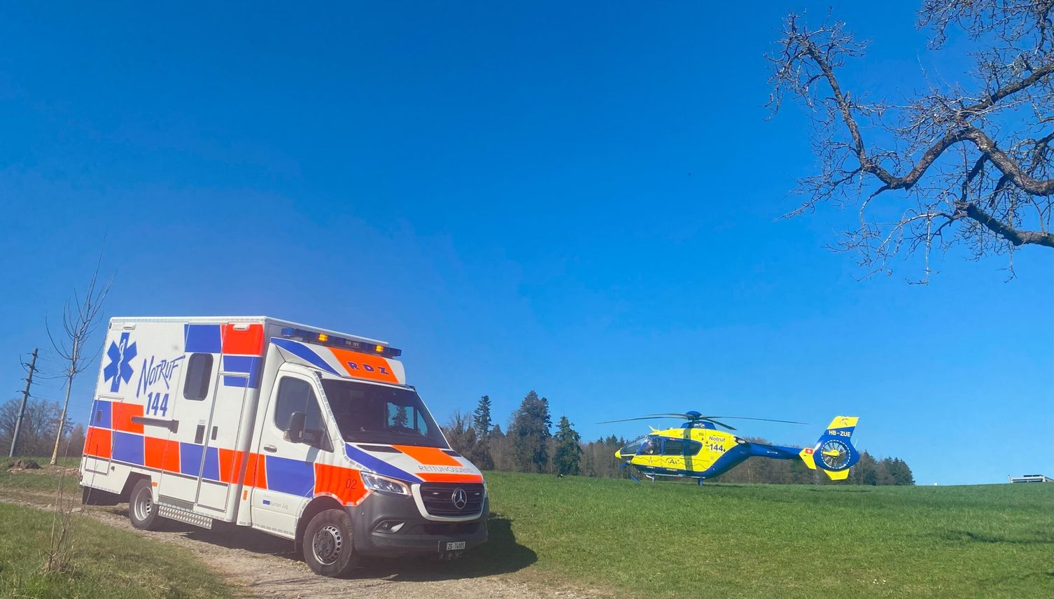 Reiterin stürzt vom Pferd und verletzt sich schwer