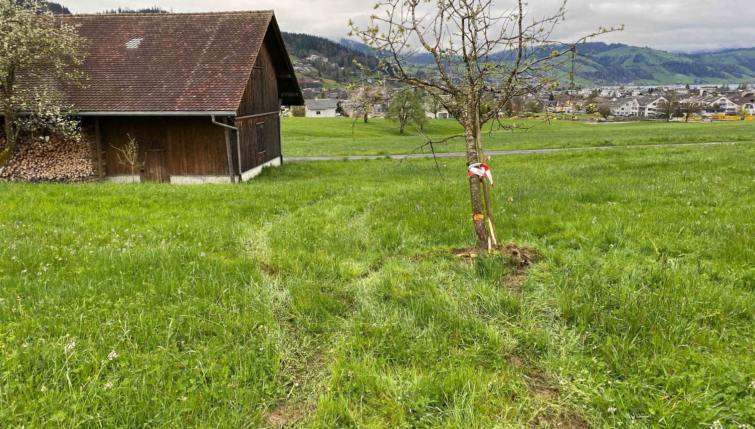 Blaulicht ignoriert – dann flüchtet er übers Feld