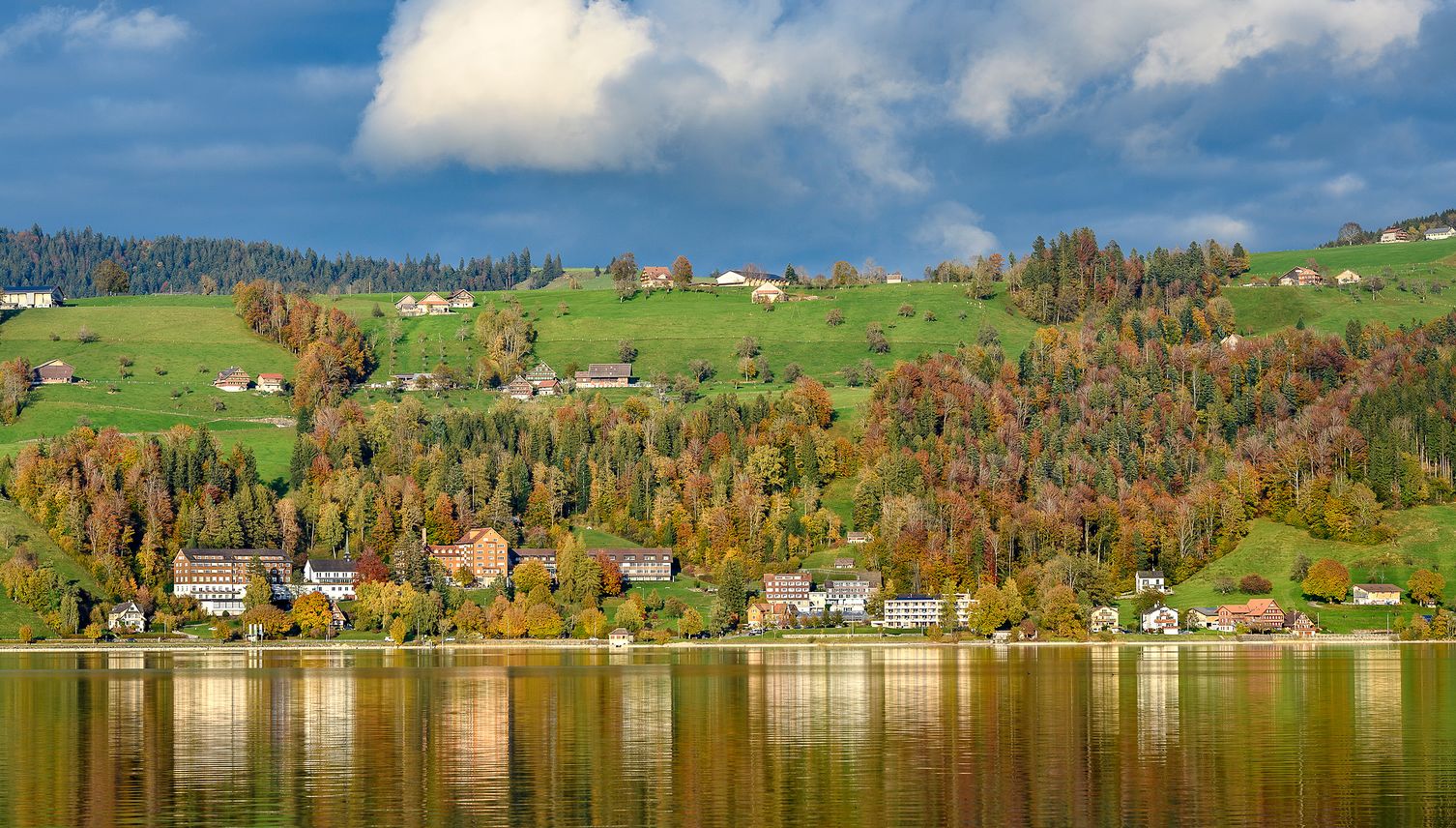 Zug verschärft Massnahmen gegen Quaggamuschel