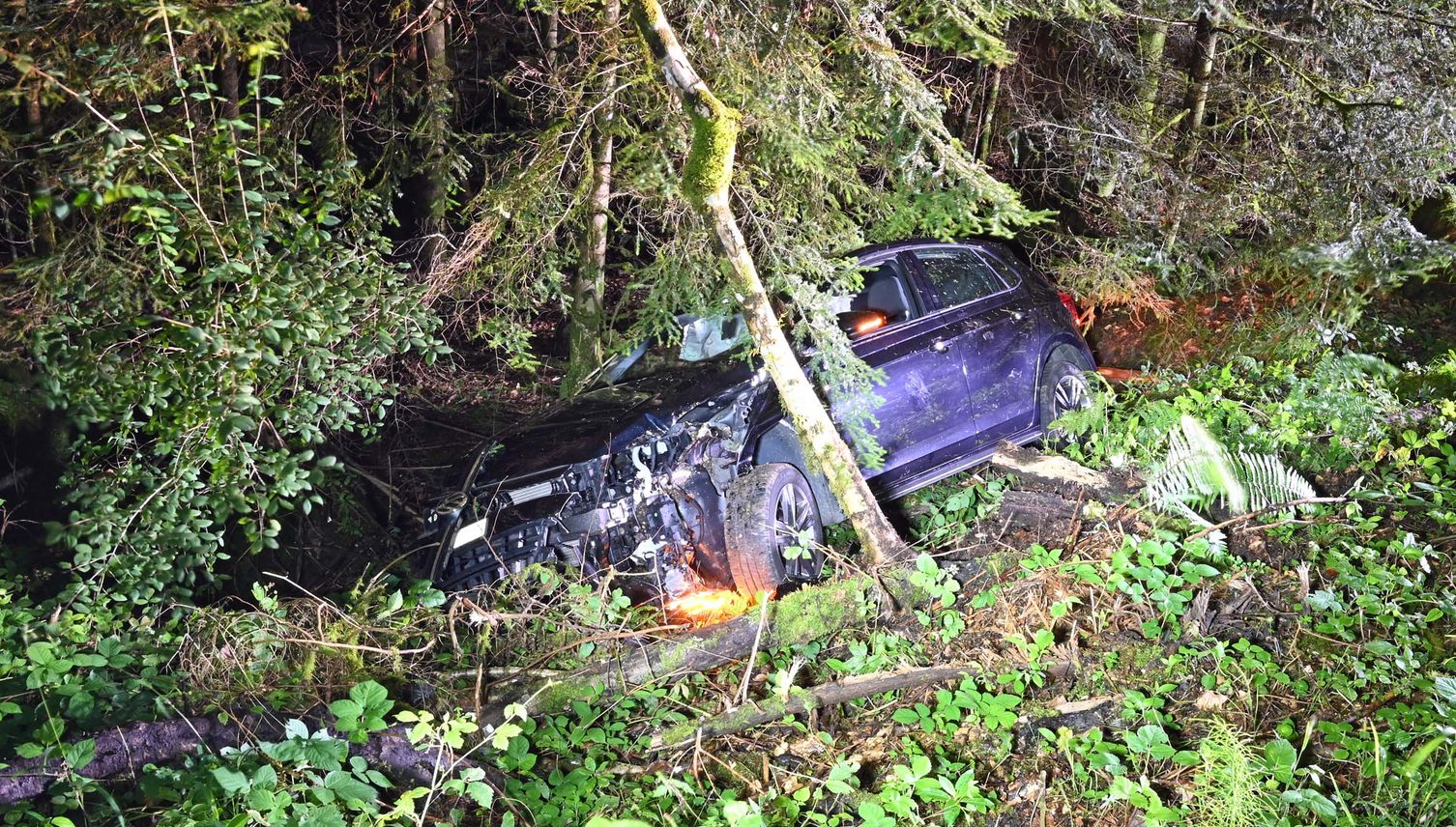 Auto kommt von Strasse ab und kollidiert mit Baum