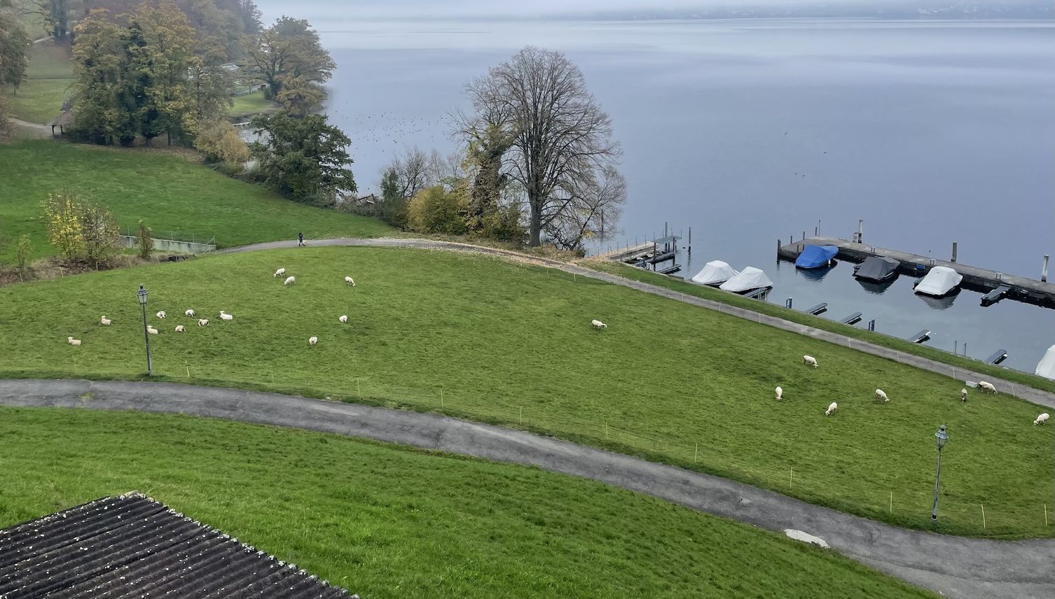 Badi und Beiz: Risch stimmt besonderem Landkauf zu