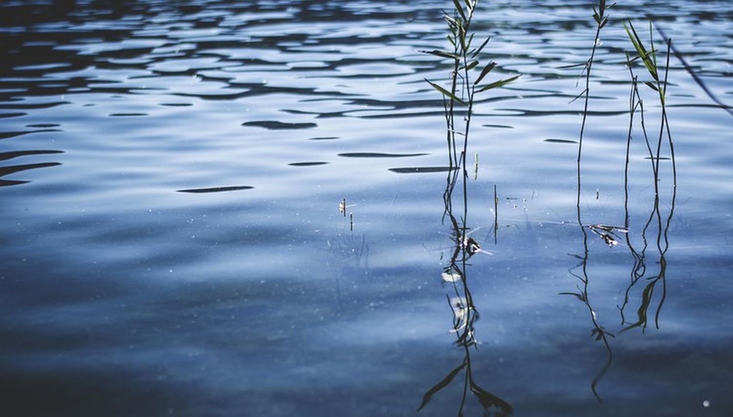 Pflanzenschutzmittel belastet Zuger Grundwasser