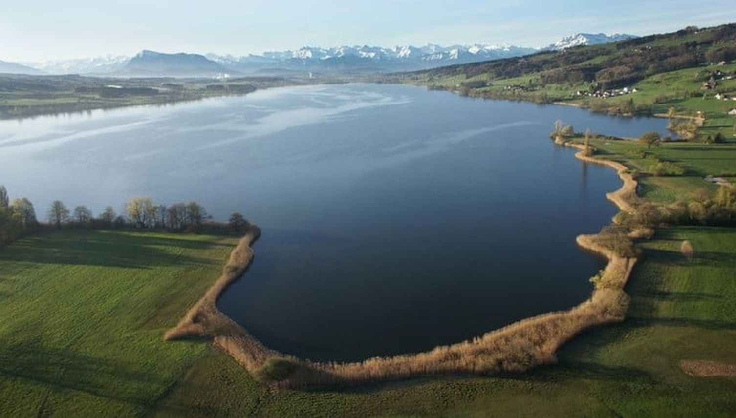 Baldeggersee: Neuigkeiten zum Rundweg erfreuen Seetaler