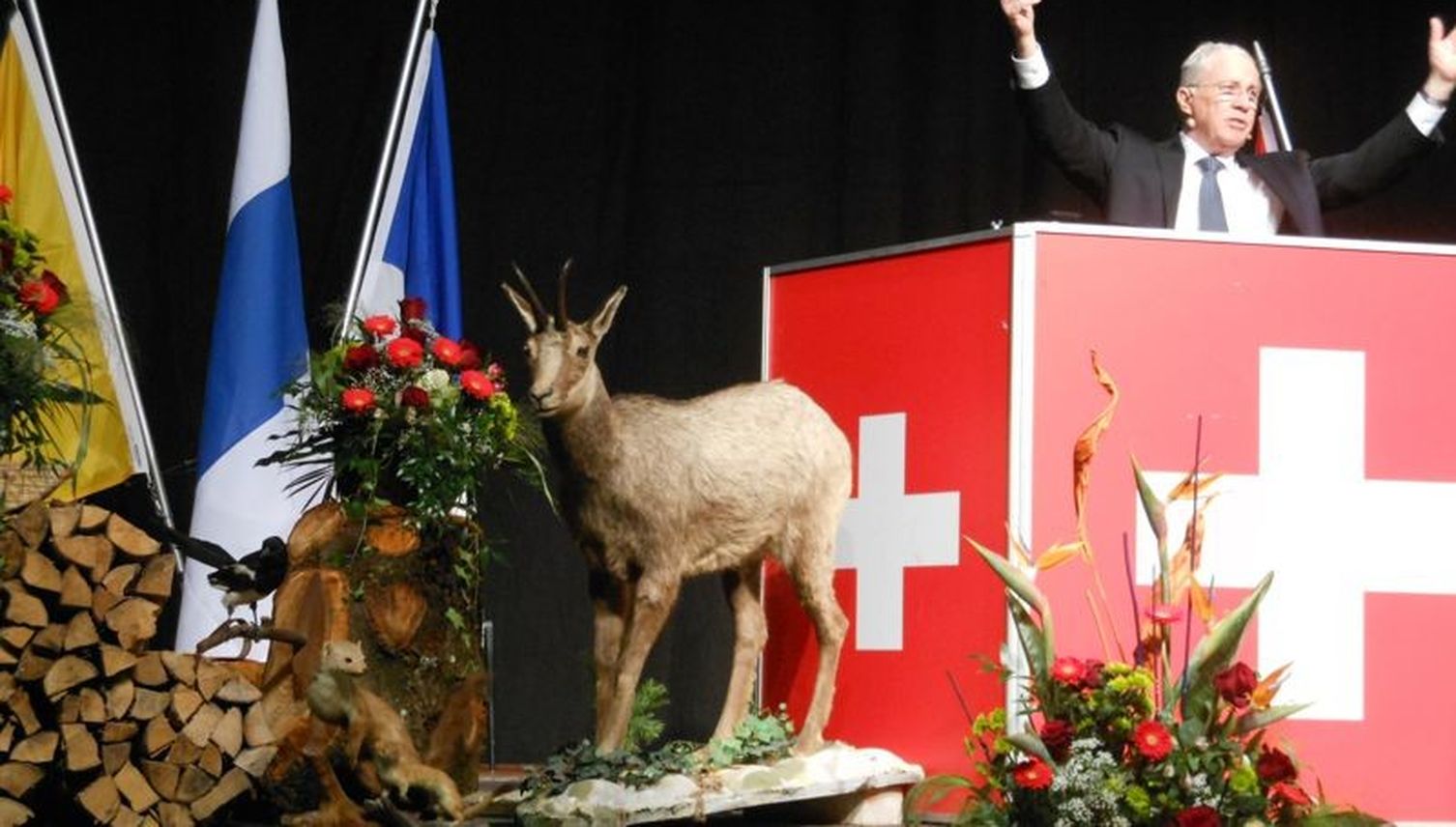 Und am Morgen zuerst: Schellenmatt mit Kühen