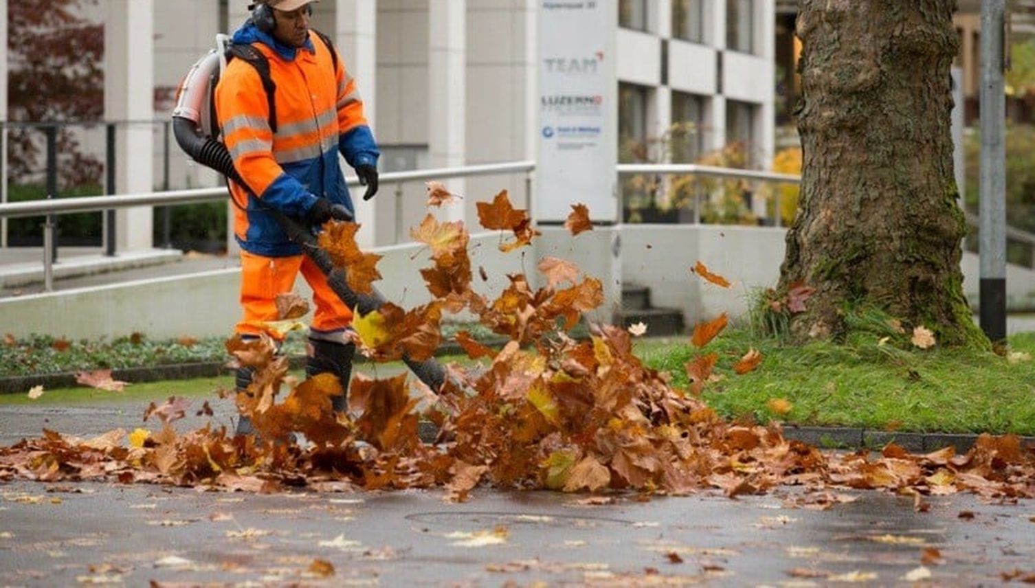 Sie können es niemandem recht machen