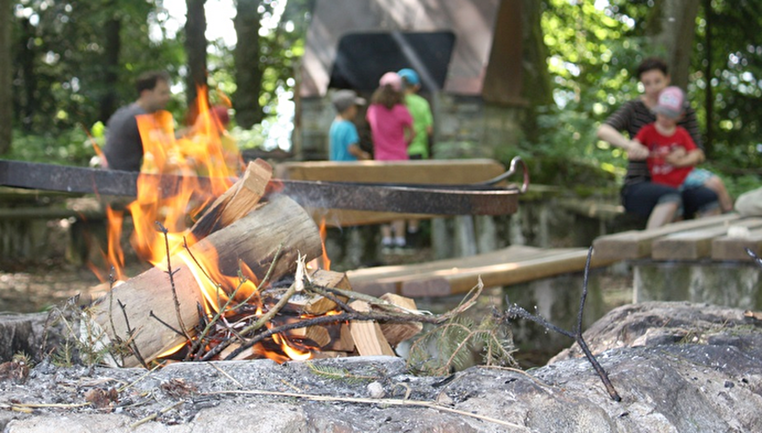 Zu trocken: In Luzern sind Feuer im Wald derzeit verboten