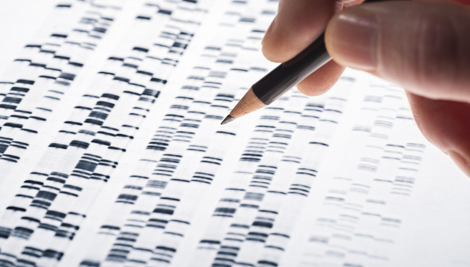 Was ist vom Massen-DNA-Test zu halten?