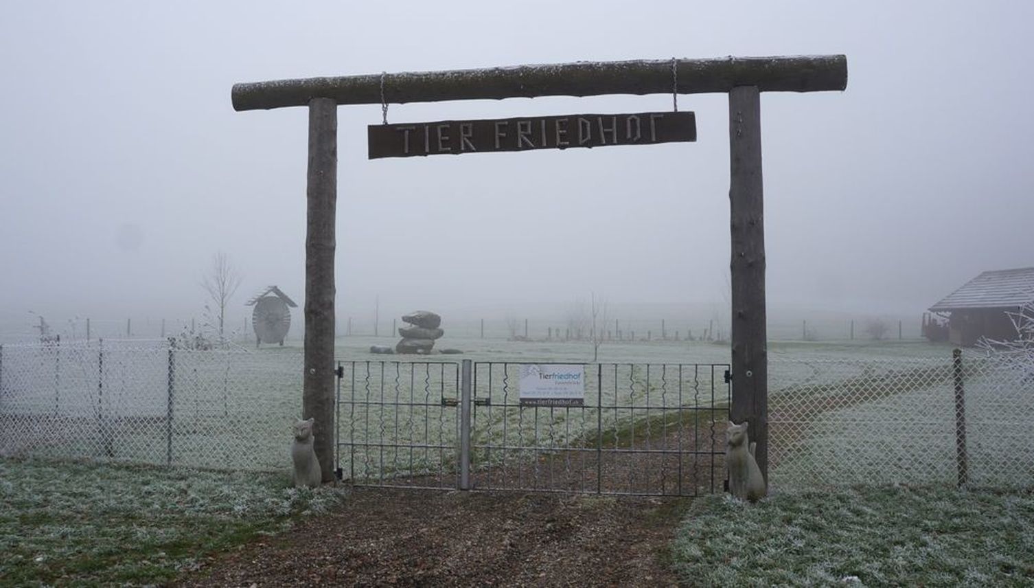 Wo Hund und Katz friedlich nebeneinander ruhen