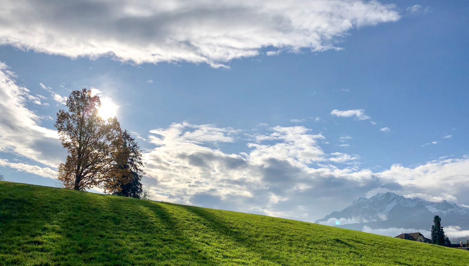 Wie ein Stichentscheid die Luzerner Grünzone rettete