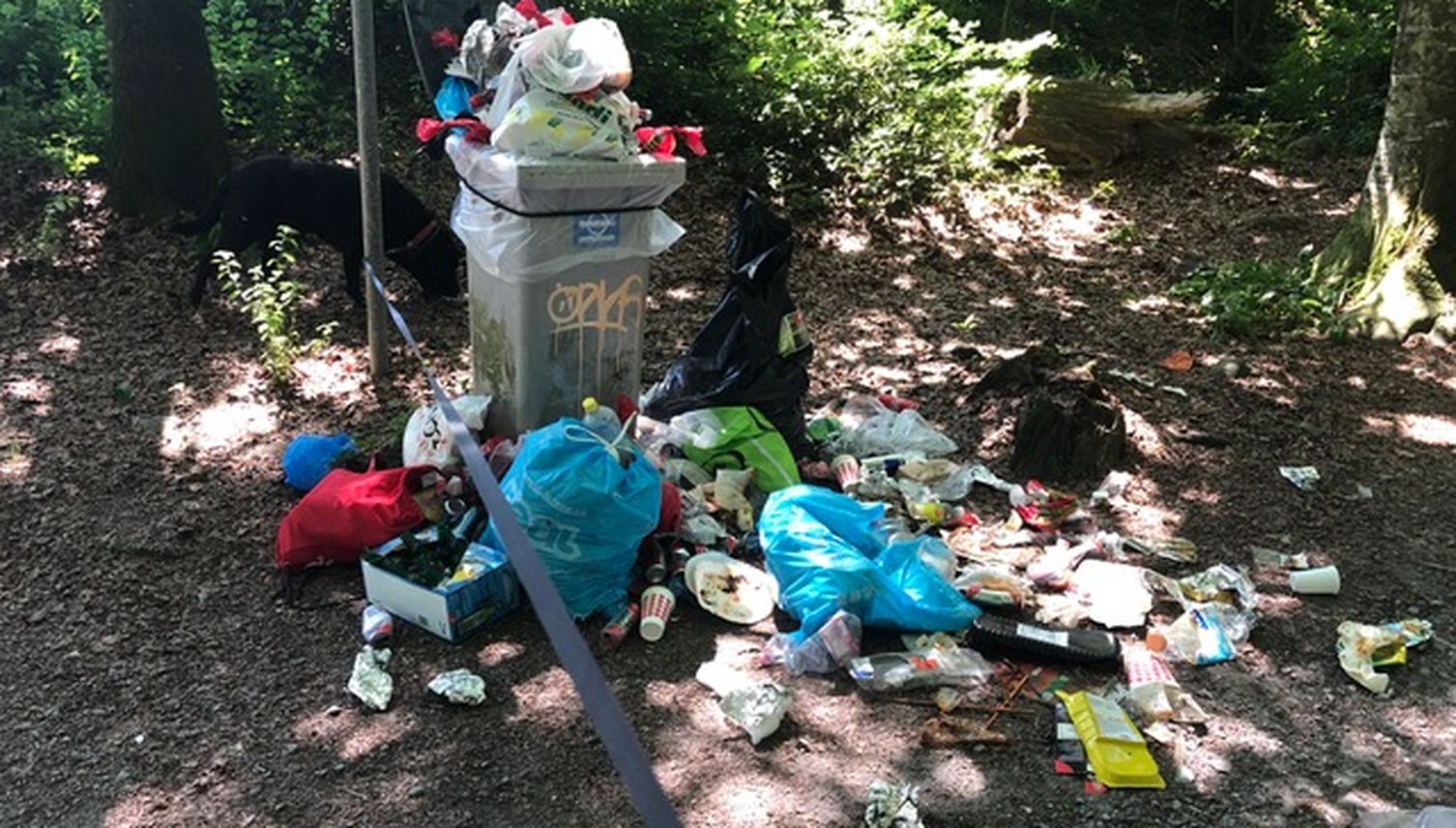 Abfall illegal entsorgt – Kriens montiert am Sonnenberg Abfalleimer ab